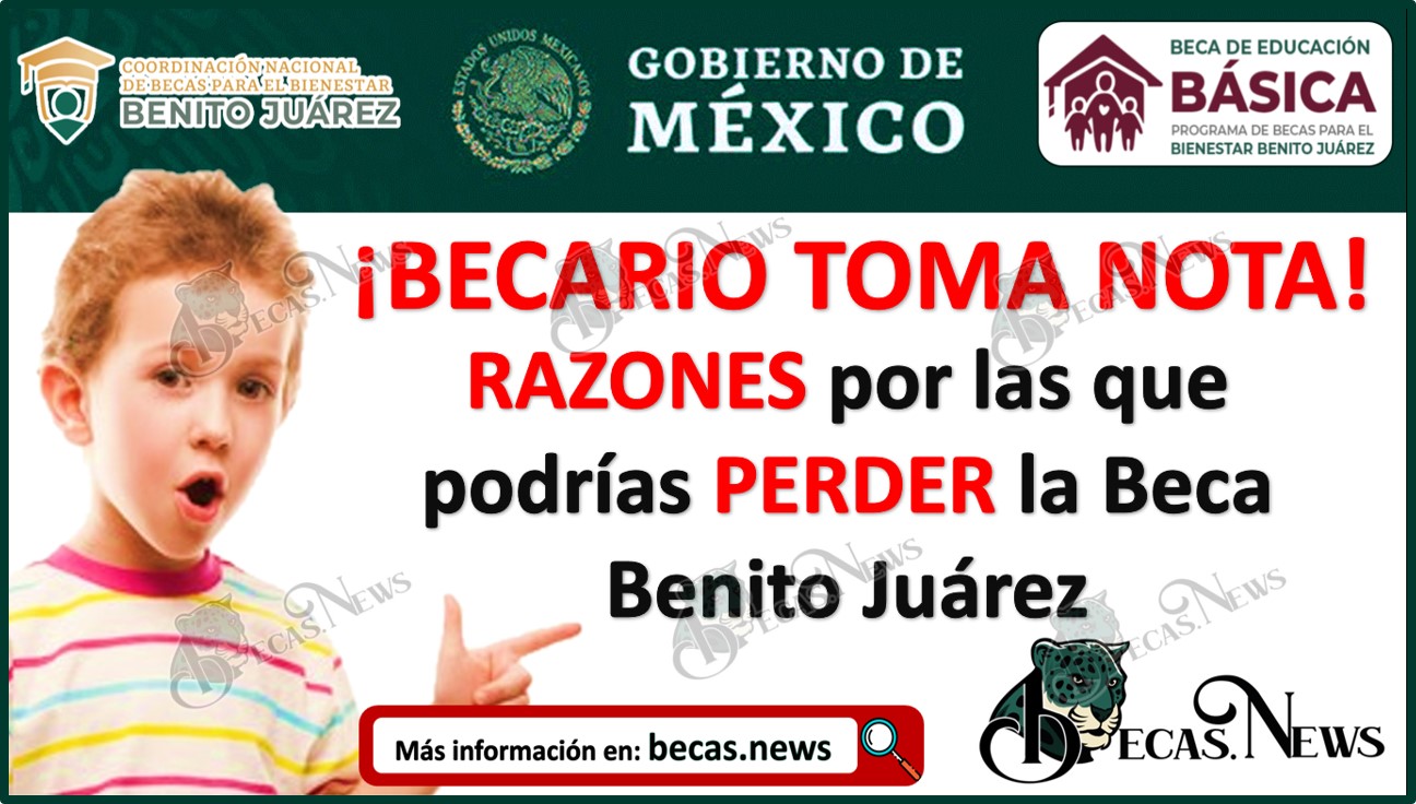 ¡BECARIO TOMA NOTA! | Estas son la RAZONES por las que podrías PERDER la Beca Benito Juárez 2023