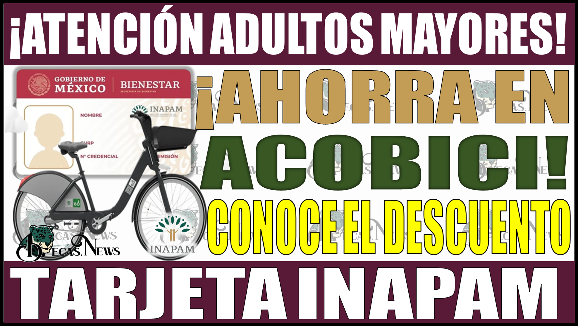 ¡Ahorra en Ecobici! Conoce el descuento INAPAM y cómo solicitarlo