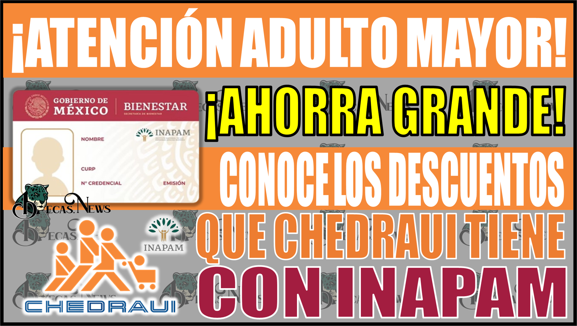 ¡Ahorra grande con tu tarjeta INAPAM! Conoce los descuentos exclusivos en Chedraui para Adultos Mayores