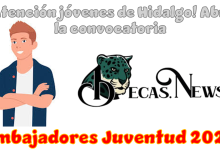 ¡Atención jóvenes de Hidalgo! Abre la convocatoria "Embajadores Juventud 2026"