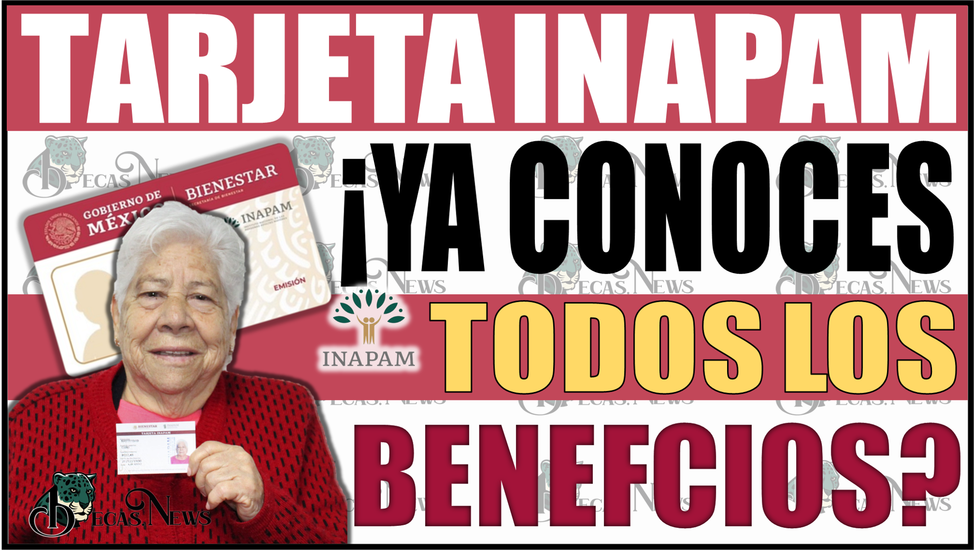 ¡Descubre todos los beneficios de la tarjeta INAPAM!